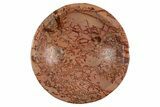Polished Saharan Desert Jasper Dish - Morocco #326948-1